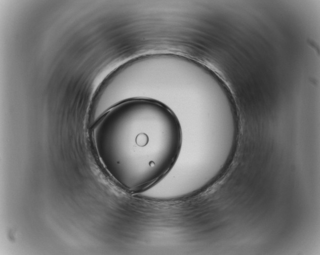 X0000099380928200805151615