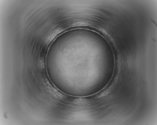 X0000099380929200805151615