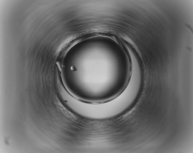 X0000099380930200805151615