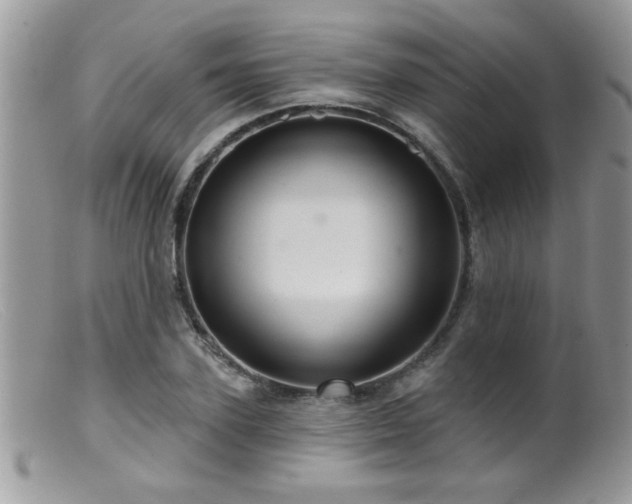 X0000099380931200805151615