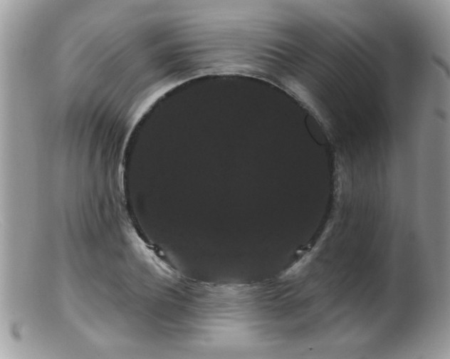 X0000099380932200805151615