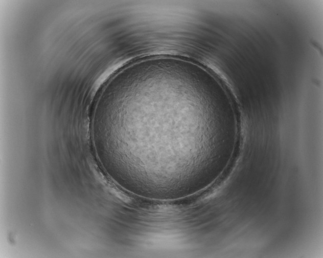 X0000099380933200805151615