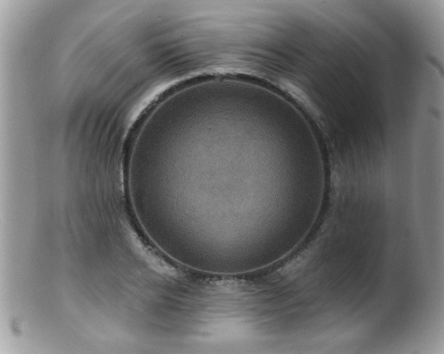 X0000099380934200805151615