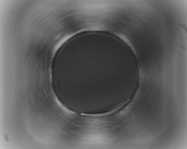 X0000099380935200805151615