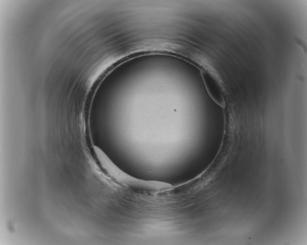 X0000099380936200805151615