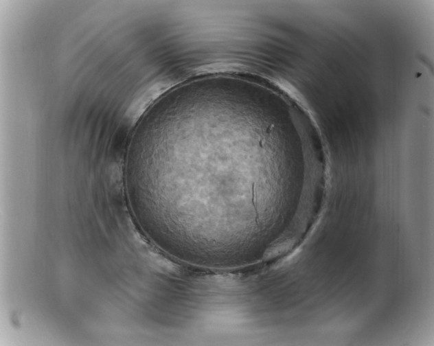 X0000099380937200805151615