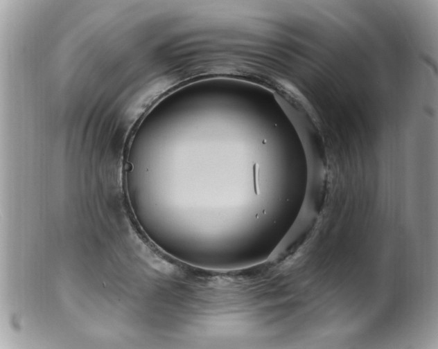 X0000099380938200805151615