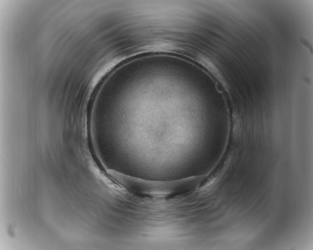 X0000099380939200805151615