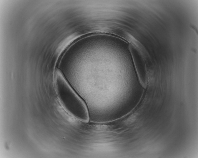 X0000099380940200805151615