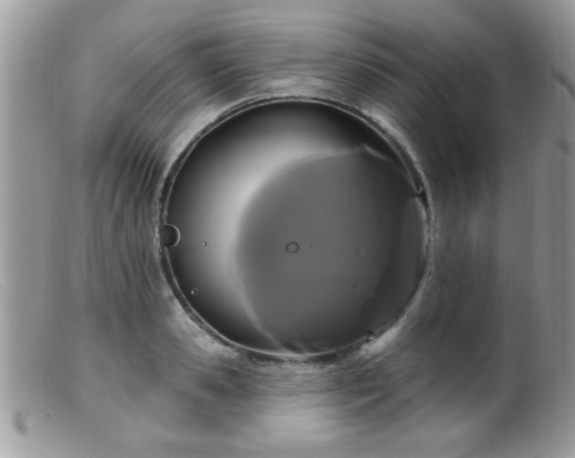 X0000099380941200805151615