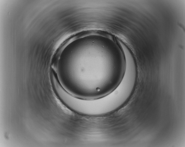 X0000099380942200805151615