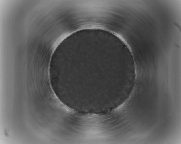 X0000099380943200805151615