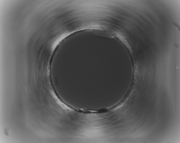 X0000099380944200805151615