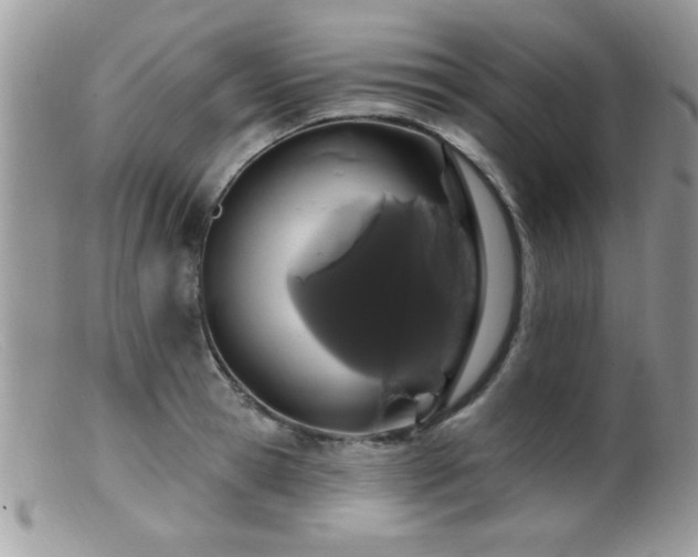 X0000099380945200805151615