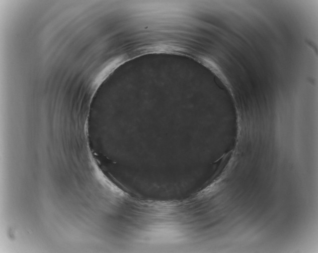 X0000099380946200805151615