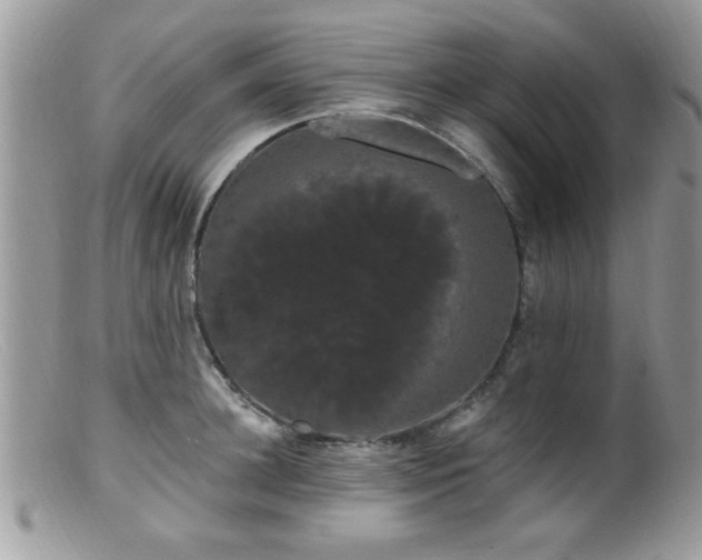 X0000099380948200805151615