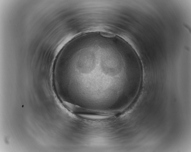 X0000099380949200805151615