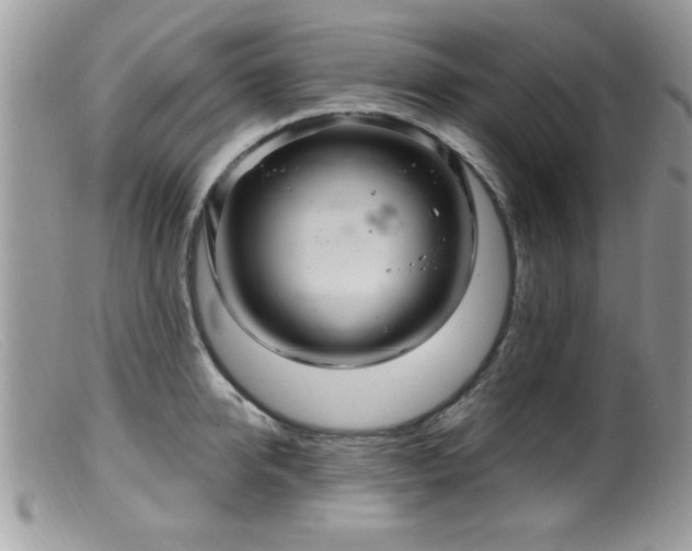 X0000099380950200805151615