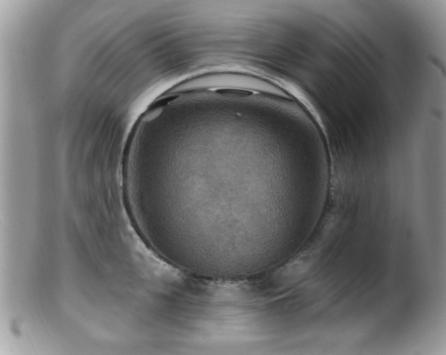 X0000099380951200805151615