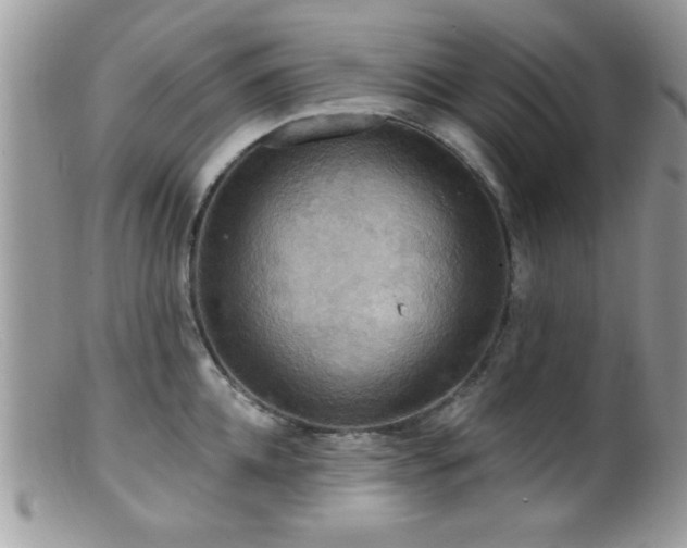 X0000099380952200805151615