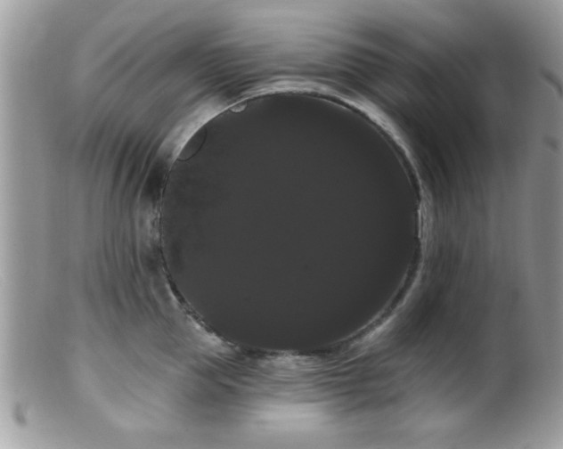 X0000099380953200805151615