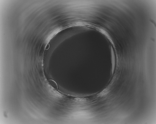 X0000099380954200805151615