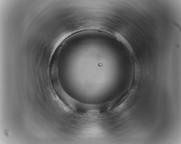 X0000099380956200805151615