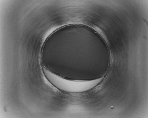 X0000099380958200805151615