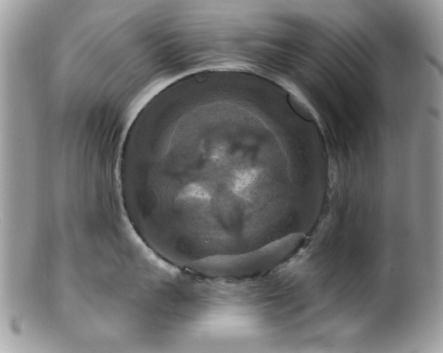 X0000099380959200805151615