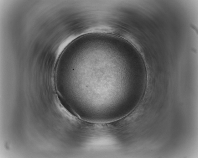 X0000099380960200805151615