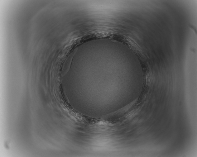 X0000099380961200805151615