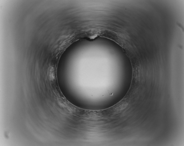 X0000099380962200805151615