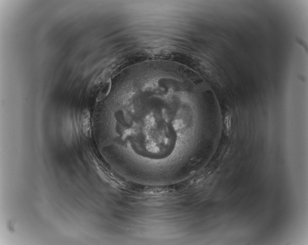 X0000099380963200805151615