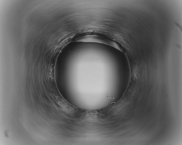 X0000099380964200805151614