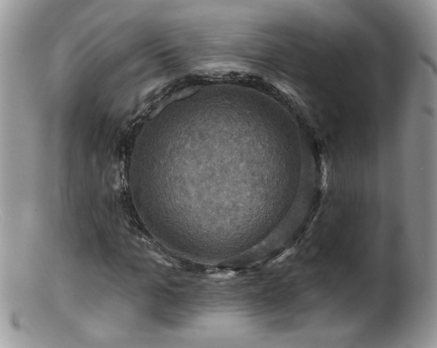 X0000099380965200805151614