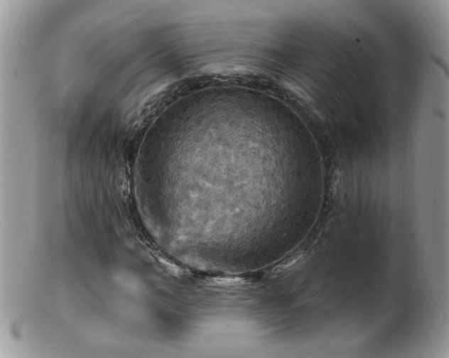 X0000099380966200805151614