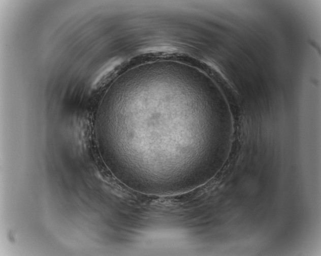 X0000099380967200805151614