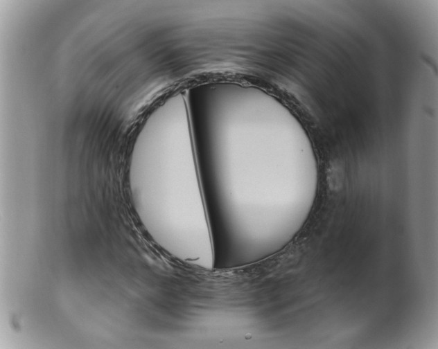 X0000099380968200805151614