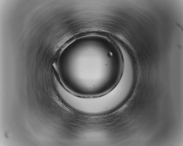 X0000099380969200805151614