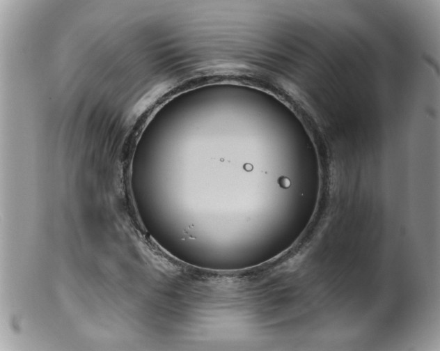 X0000099380970200805151614