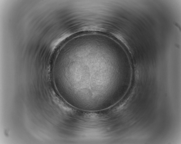 X0000099380971200805151614