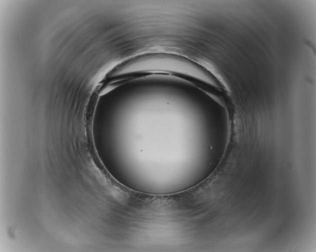 X0000099380972200805151614