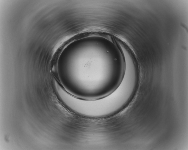 X0000099380973200805151614