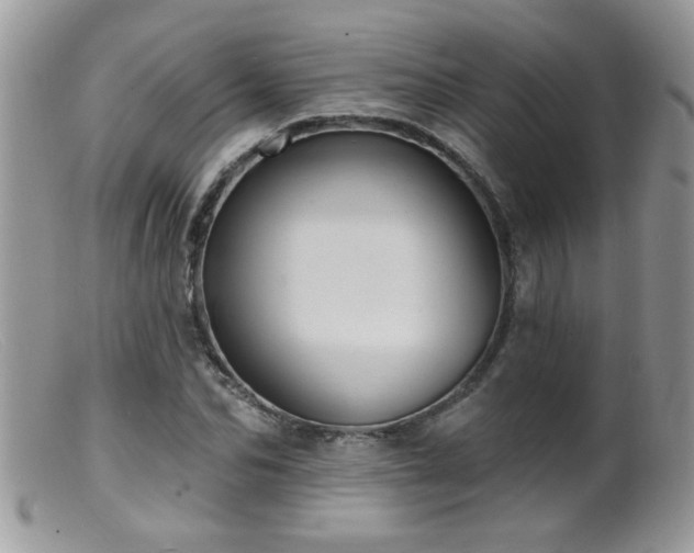 X0000099380974200805151614