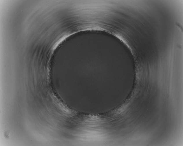 X0000099380975200805151614