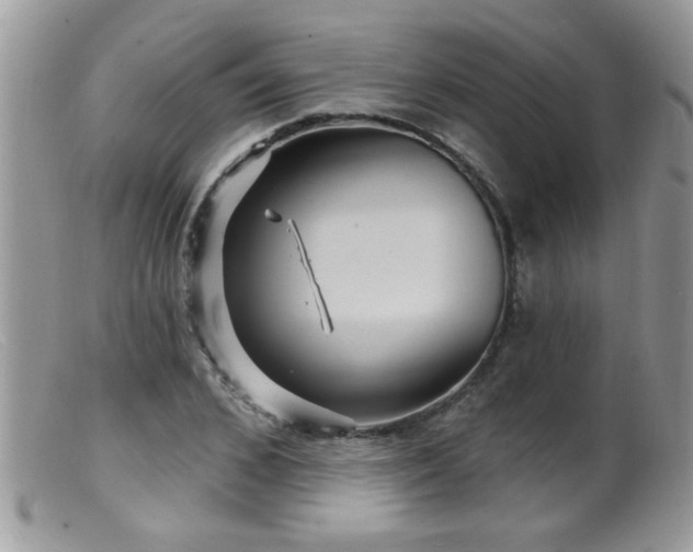 X0000099380976200805151614