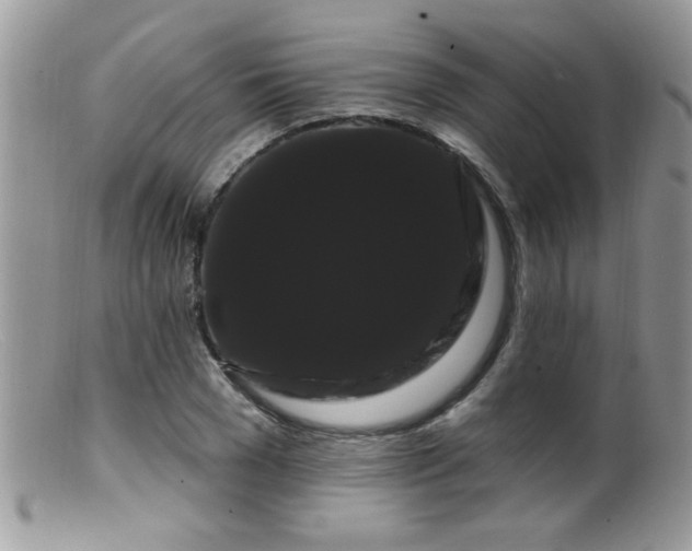 X0000099380977200805151614