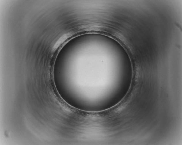 X0000099380978200805151614