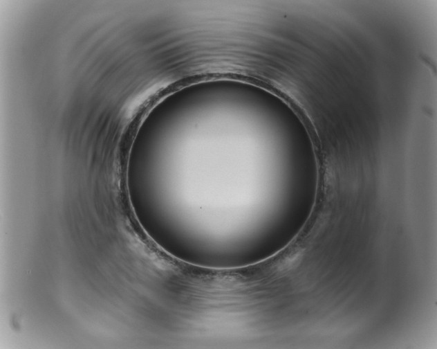 X0000099380979200805151614