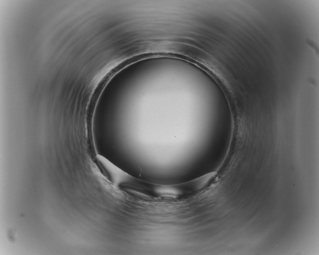 X0000099380980200805151614